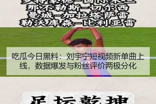 chi-gua-jin-ri-hei-liao-liu-yu-ning-duan-shi-pin-xin-dan-qu-shang-xian-shu-ju-bao-fa-yu-fen-si-ping-jia-liang-ji-fen-hua-2-714.jpg
